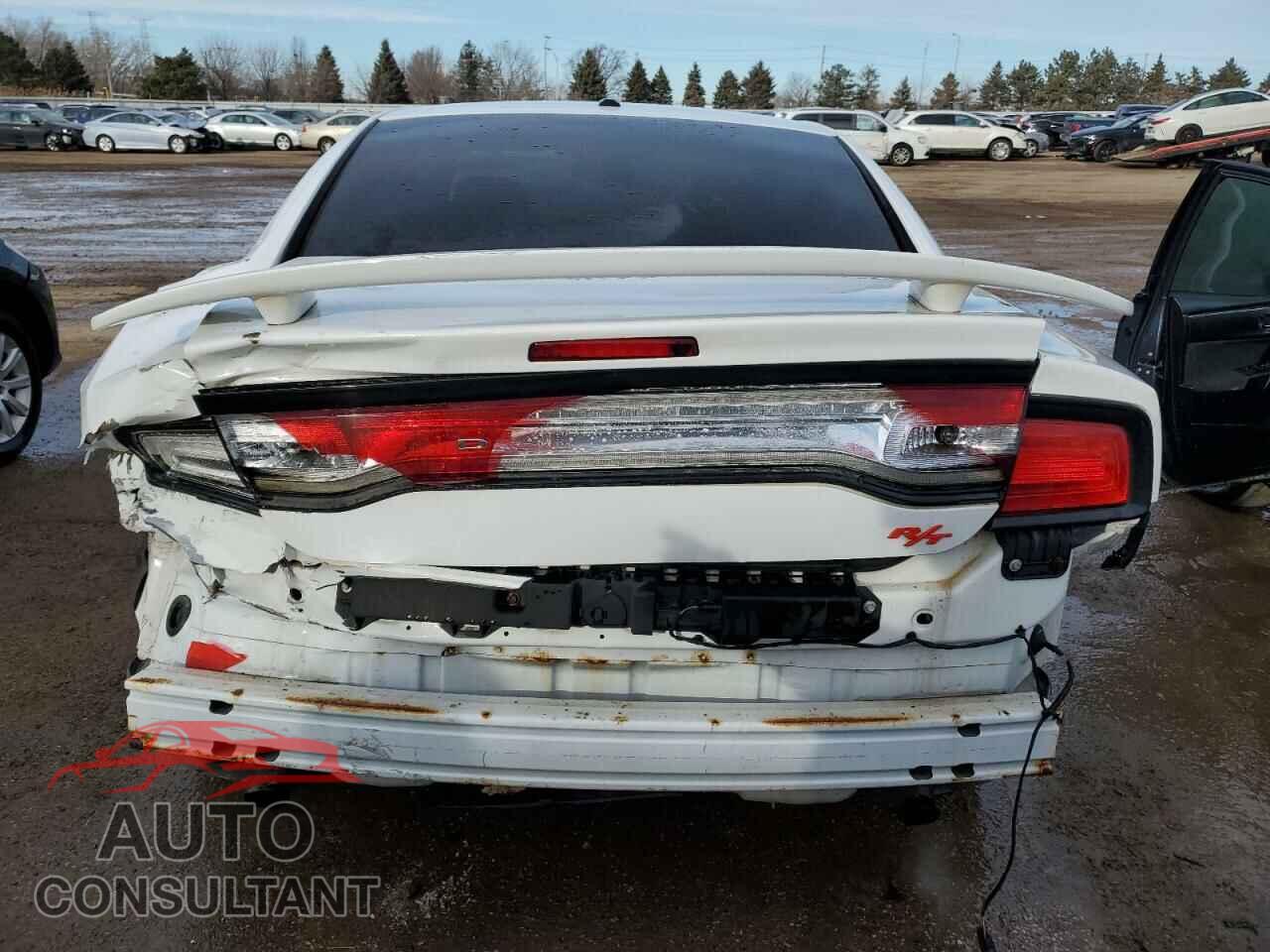 DODGE CHARGER 2013 - 2C3CDXDT4DH731051