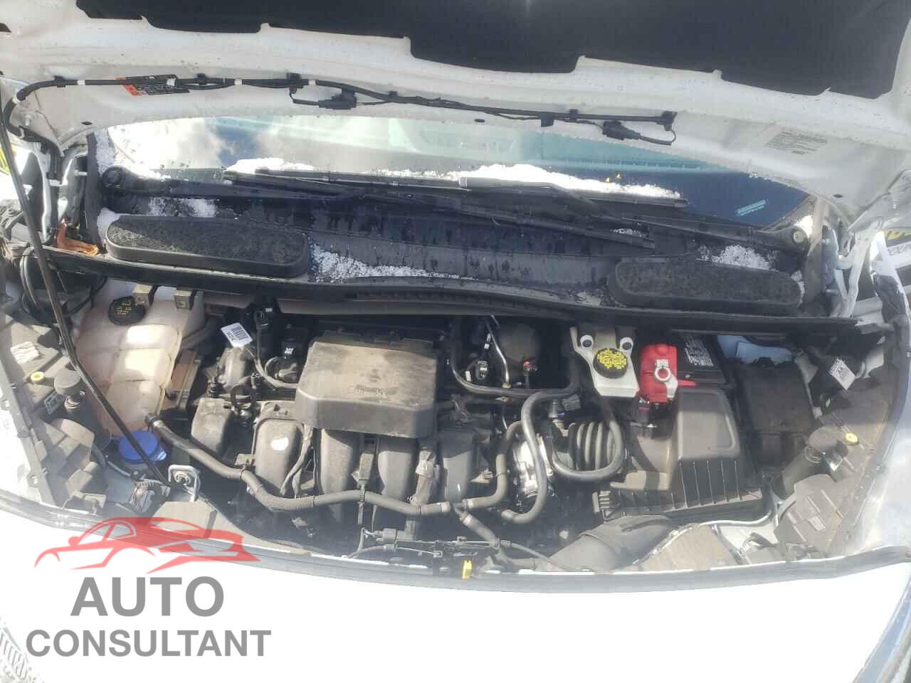 FORD TRANSIT CO 2019 - NM0LS7F26K1418548