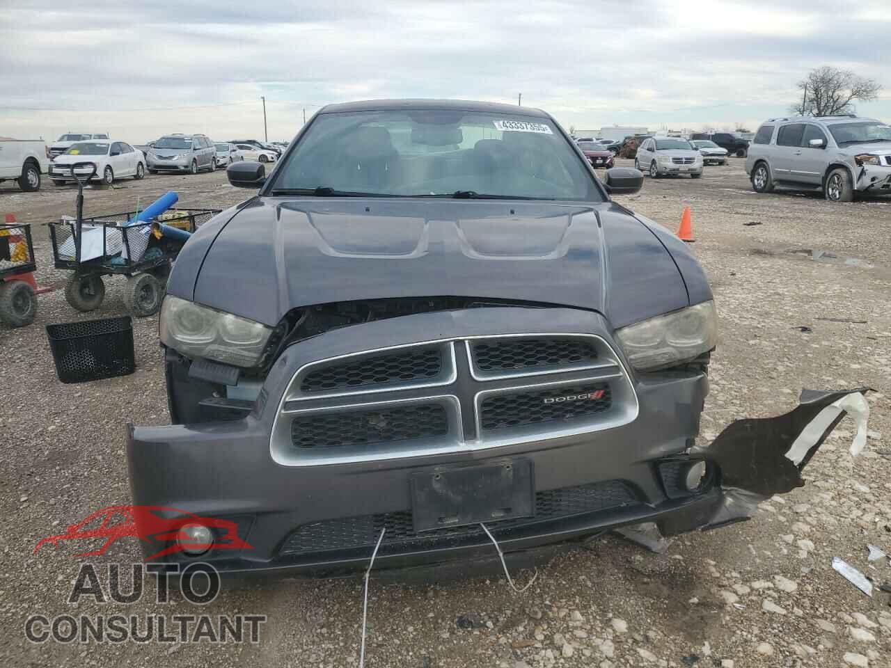 DODGE CHARGER 2013 - 2C3CDXCT3DH715800