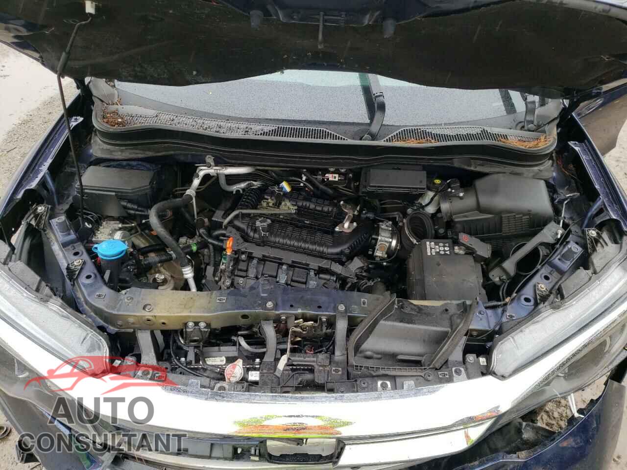 HONDA PILOT 2019 - 5FNYF6H52KB096027
