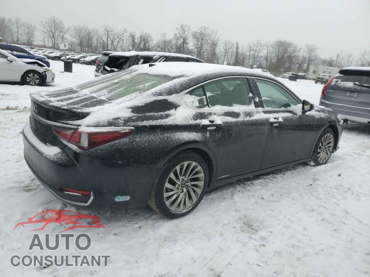 LEXUS ES300 2019 - JTHB21B12K2023106