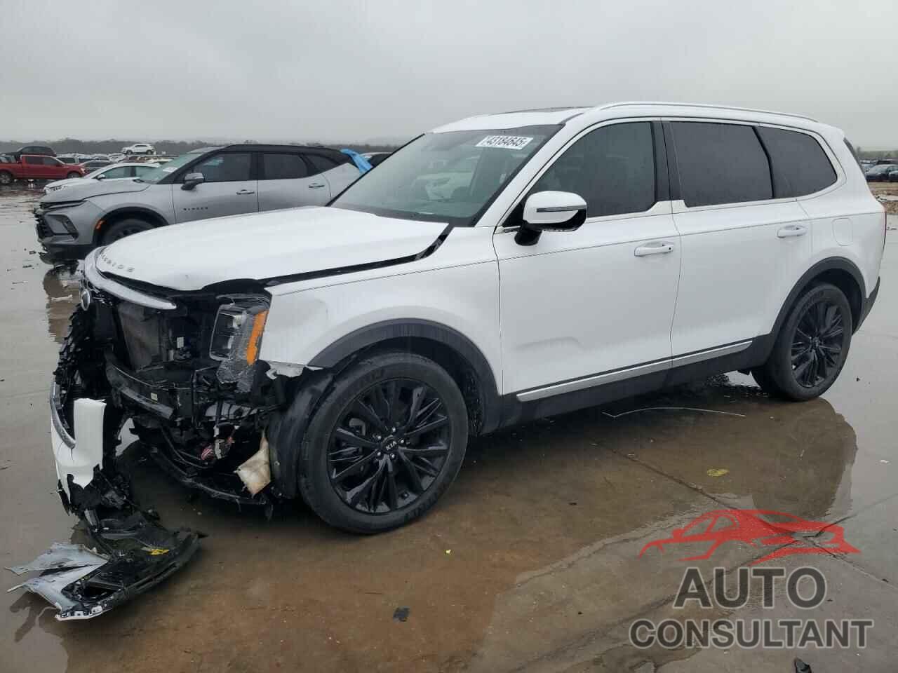 KIA TELLURIDE 2021 - 5XYP5DHC0MG144136