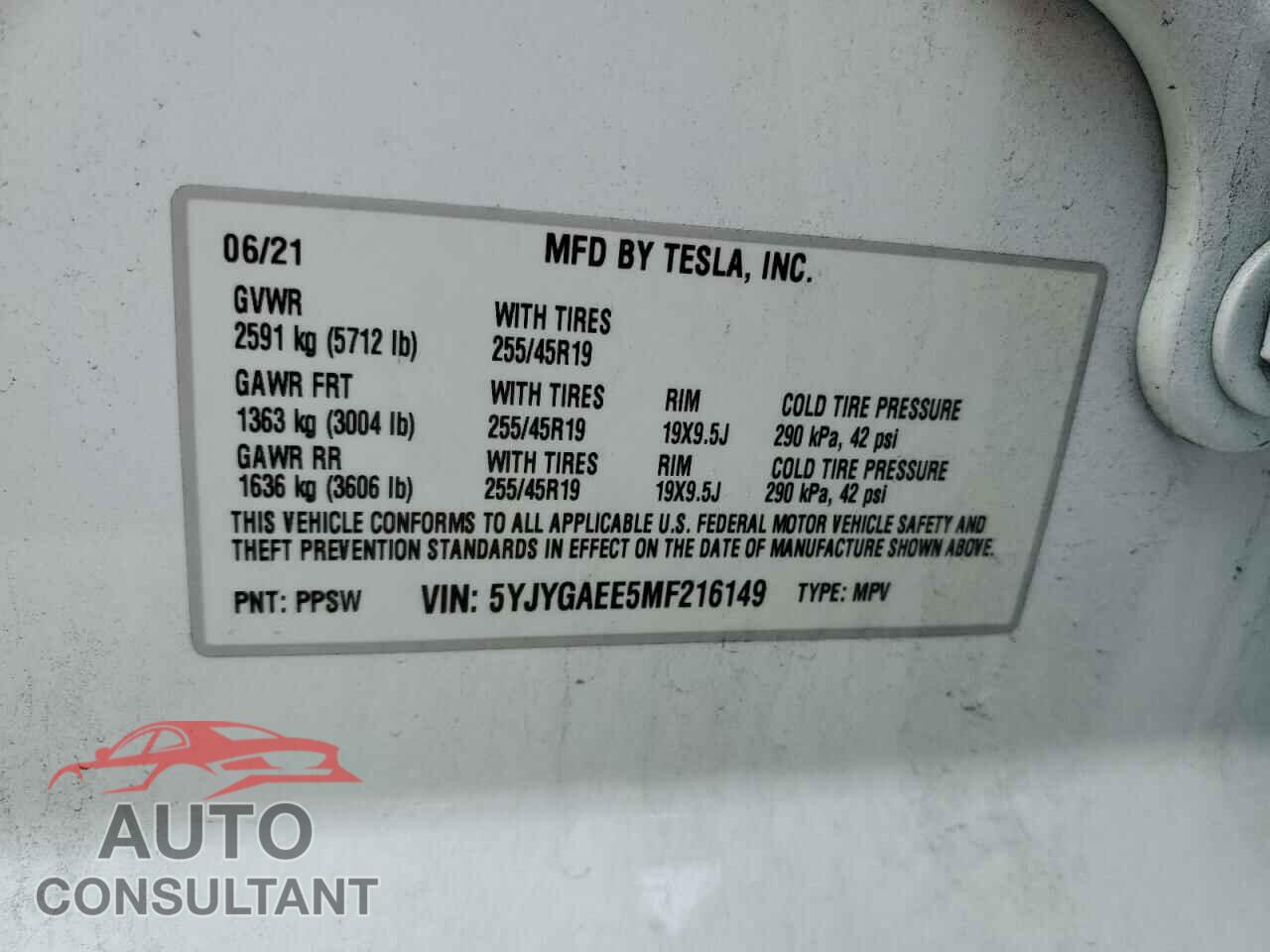 TESLA MODEL Y 2021 - 5YJYGAEE5MF216149
