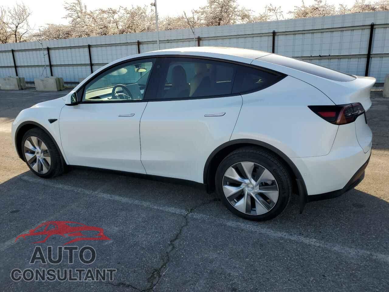 TESLA MODEL Y 2022 - 7SAYGDEE9NF555311