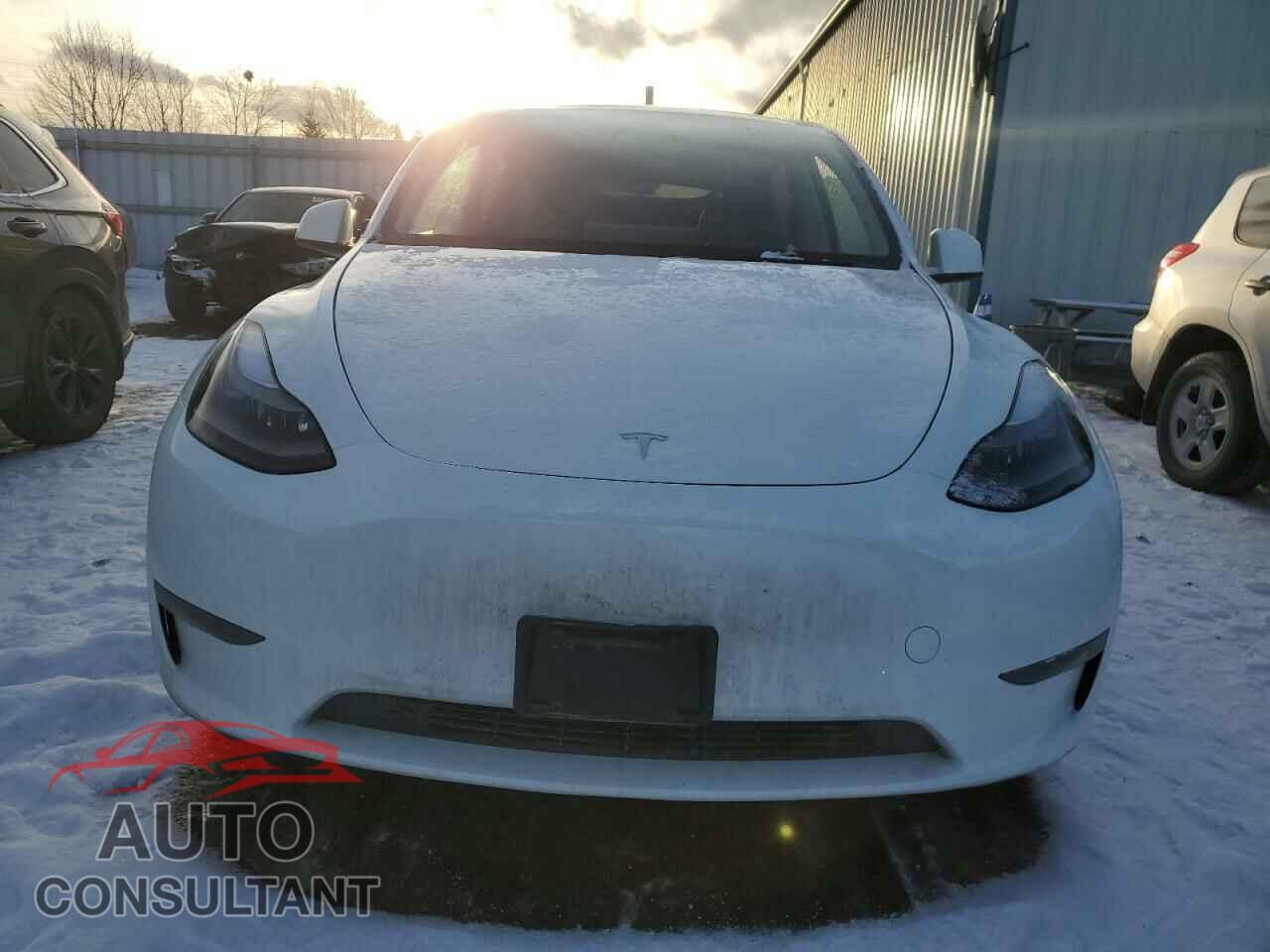 TESLA MODEL Y 2024 - 7SAYGDEE4RF079118