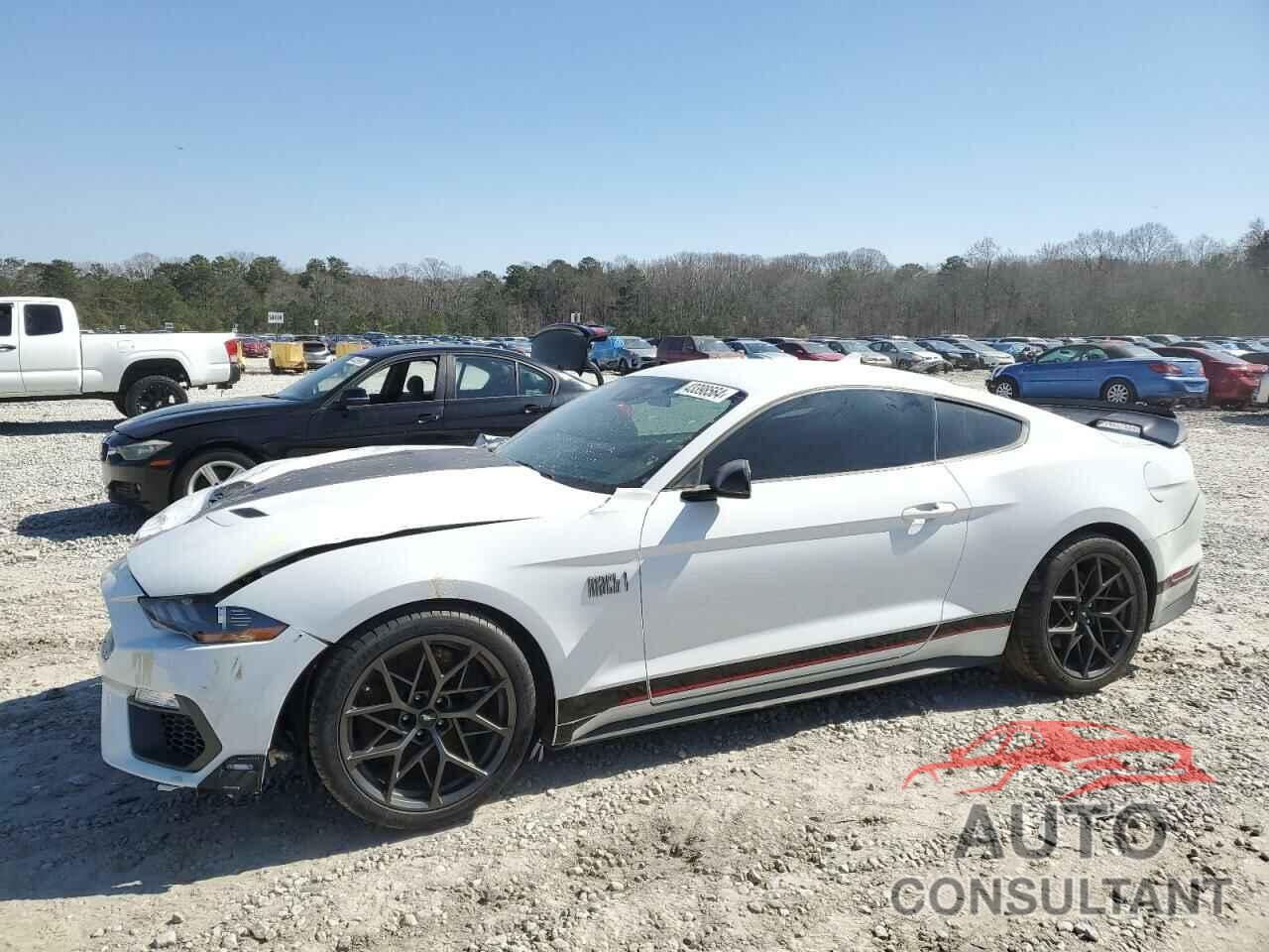 FORD MUSTANG 2021 - 1FA6P8R01M5553276