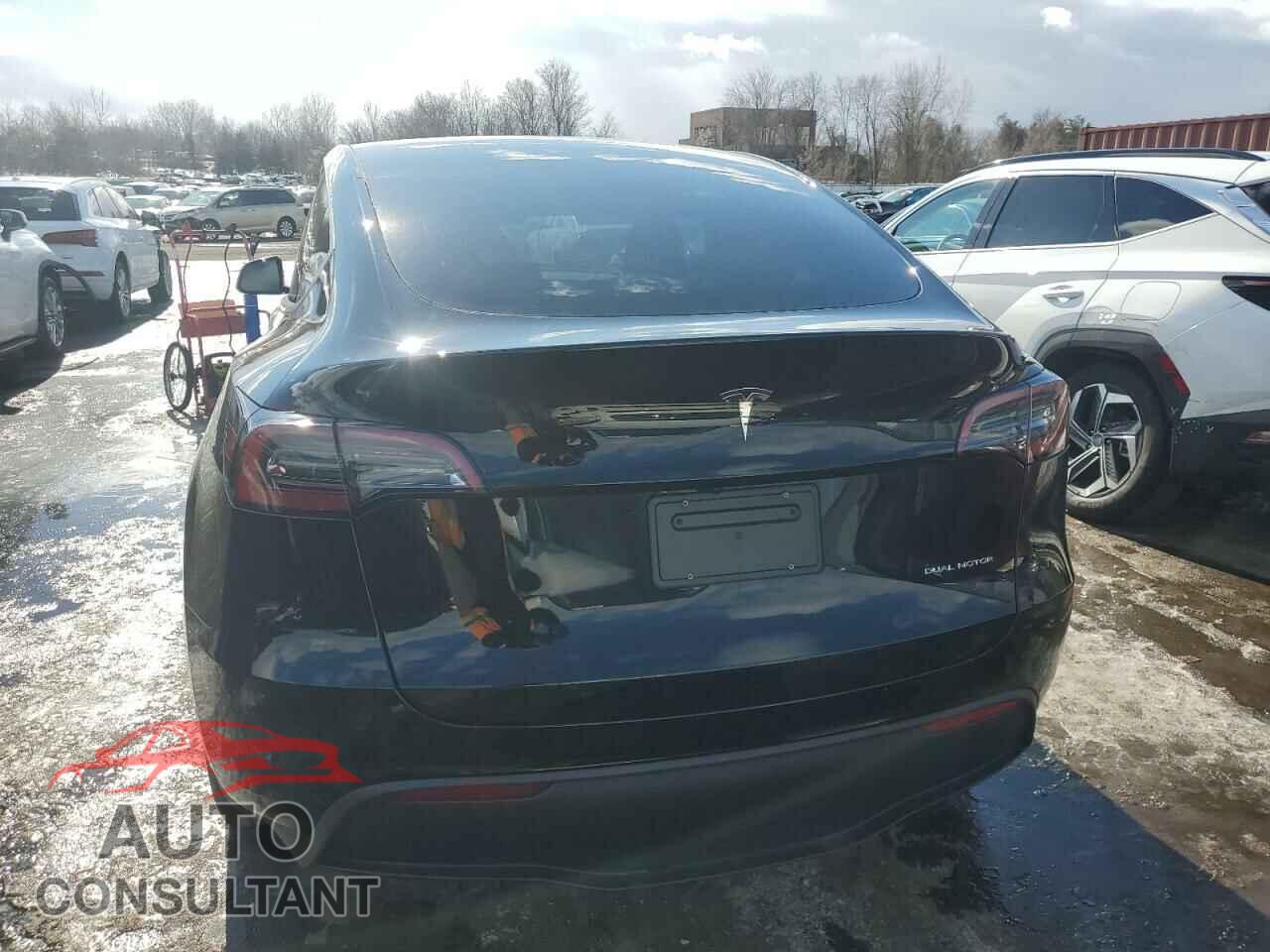 TESLA MODEL Y 2024 - 7SAYGDEE2RA245391