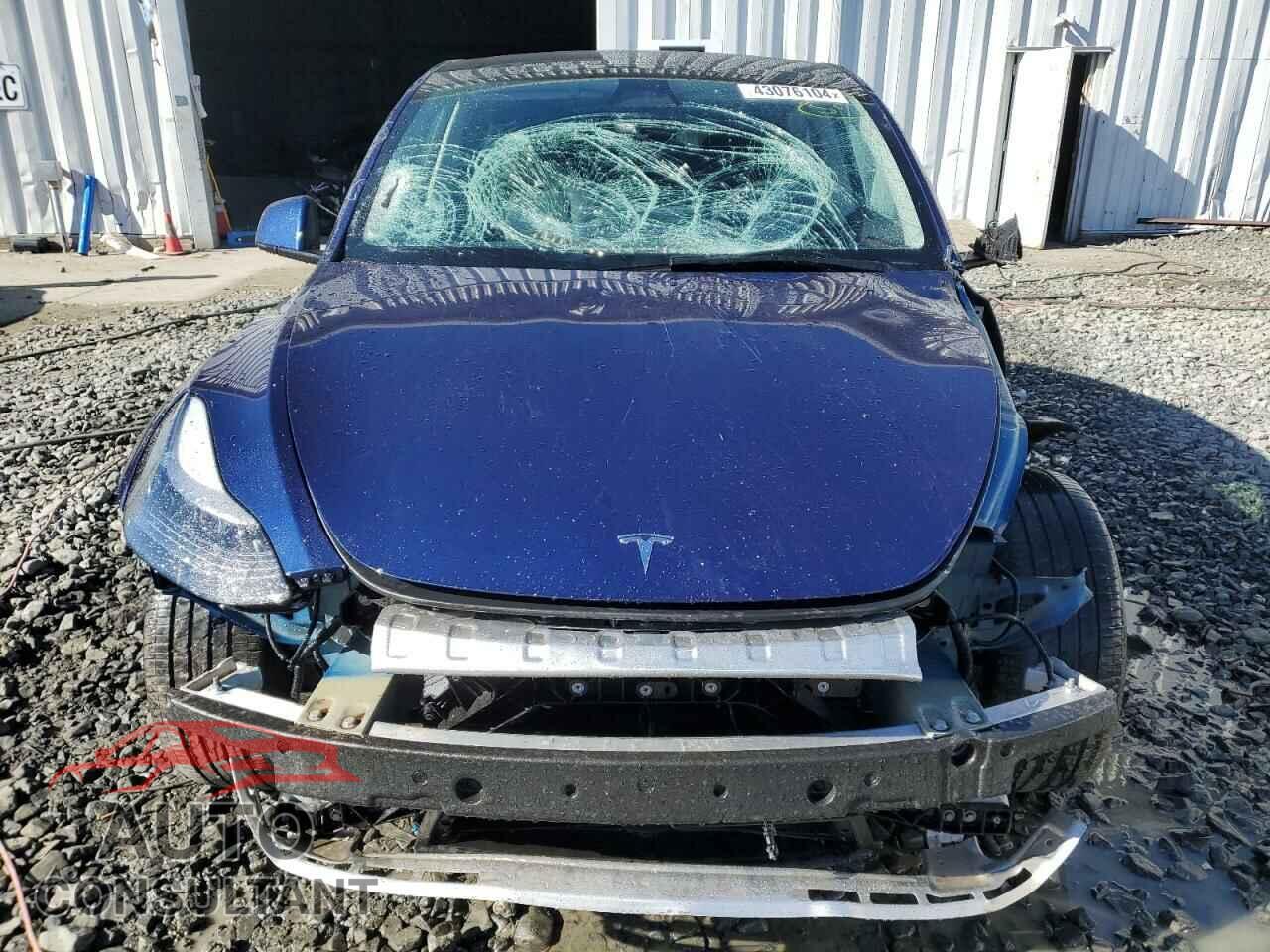 TESLA MODEL Y 2023 - 7SAYGDEE8PF764235