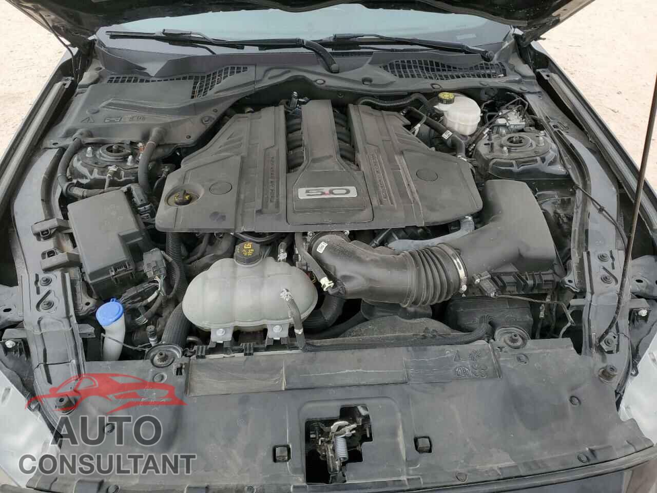 FORD MUSTANG 2021 - 1FA6P8CF7M5157804