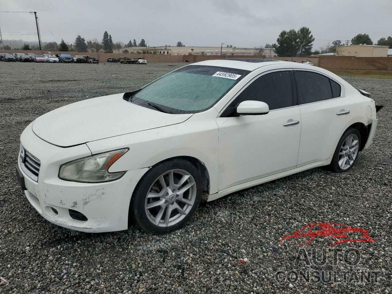 NISSAN MAXIMA 2012 - 1N4AA5APXCC855565