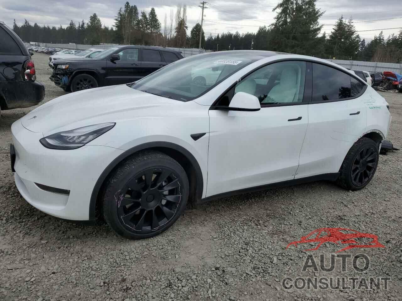 TESLA MODEL Y 2020 - 5YJYGDEE6LF017546