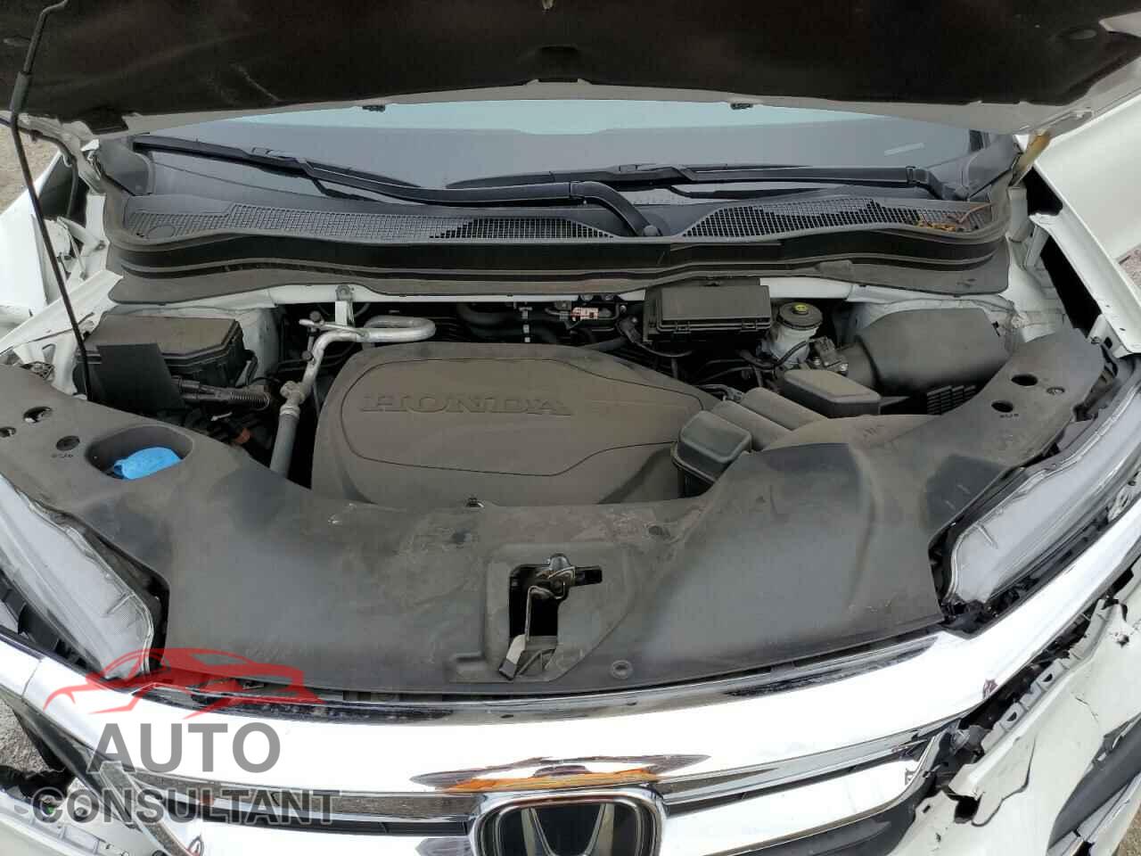 HONDA PILOT 2021 - 5FNYF5H54MB047148