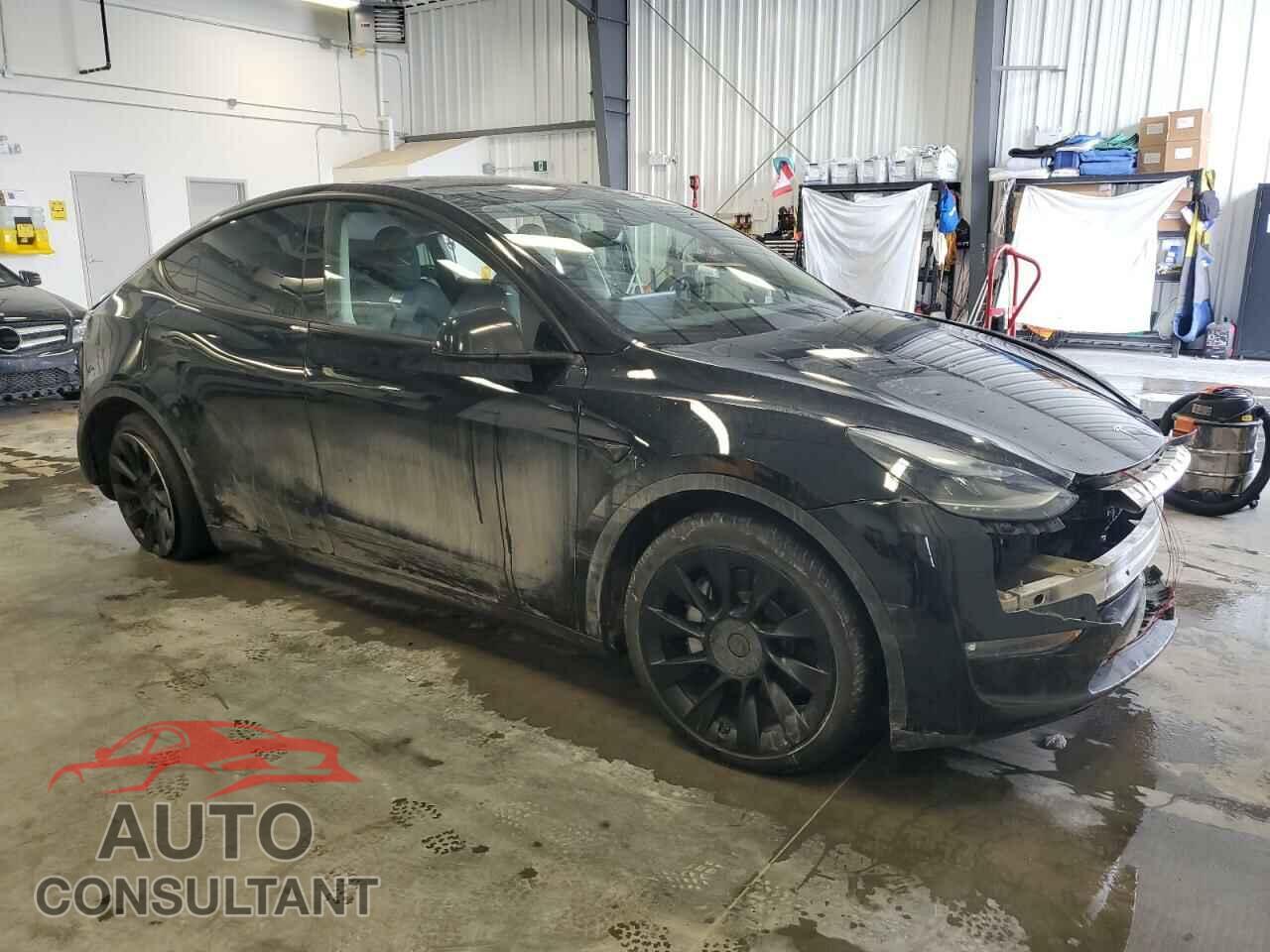 TESLA MODEL Y 2024 - 7SAYGDEE7RF056089