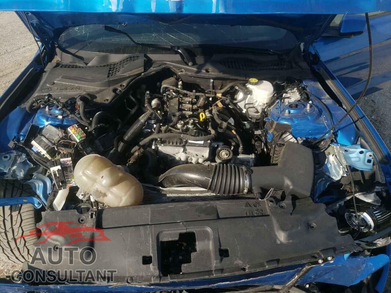 FORD MUSTANG 2019 - 1FA6P8TH3K5134714