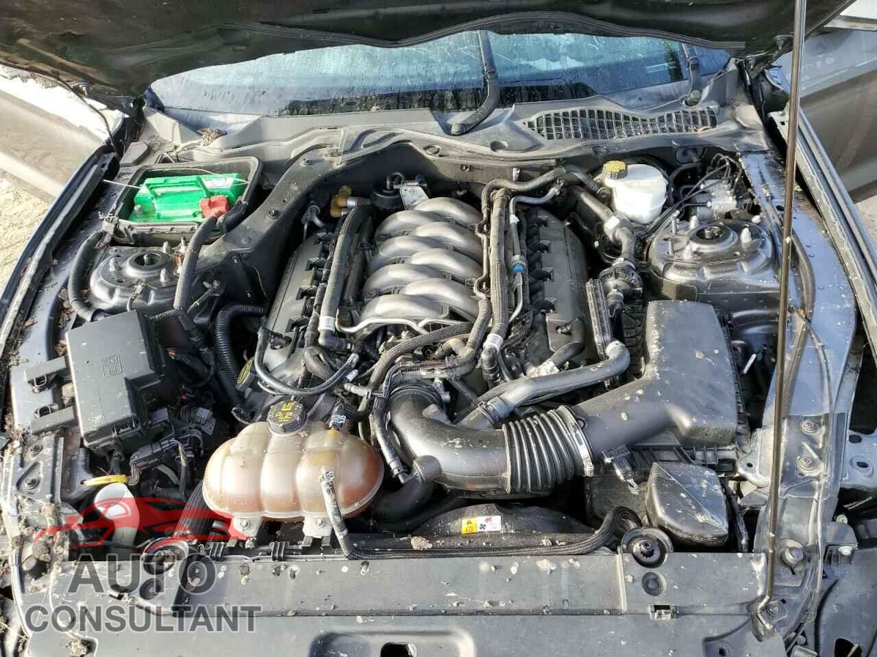 FORD MUSTANG 2017 - 1FA6P8CF6H5310064