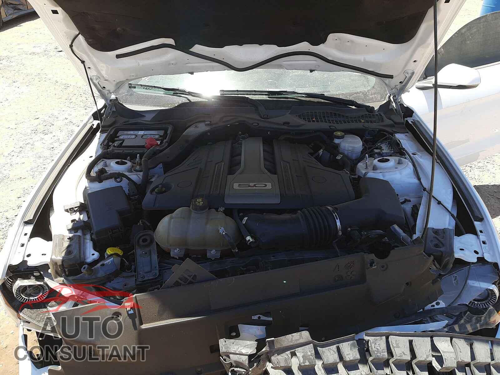 FORD MUSTANG 2019 - 1FA6P8CF2K5151325