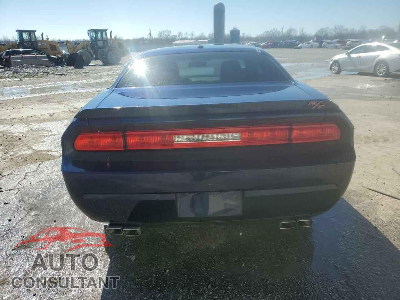 DODGE CHALLENGER 2013 - 2C3CDYBT3DH611444