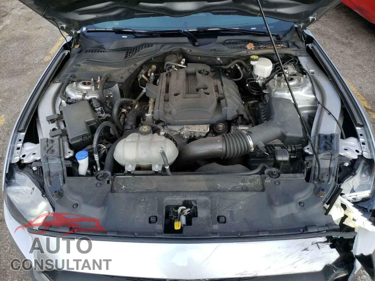 FORD MUSTANG 2020 - 1FA6P8TH5L5136658