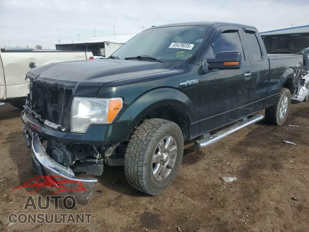 FORD F-150 2013 - 1FTFX1EF8DKD60362