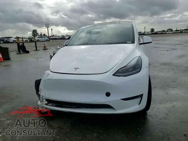 TESLA MODEL Y 2023 - 7SAYGAEE5PF743079