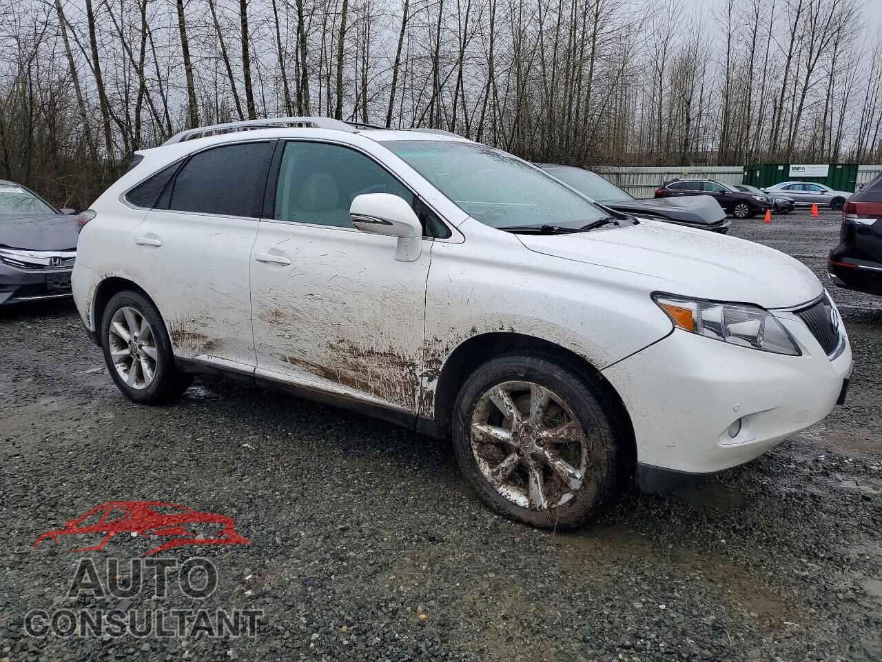 LEXUS RX350 2011 - 2T2BK1BA4BC114876