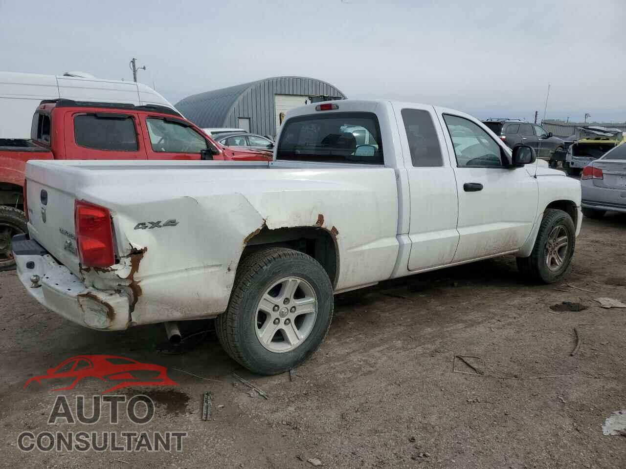 DODGE DAKOTA 2011 - 1D7RW3BK5BS667231