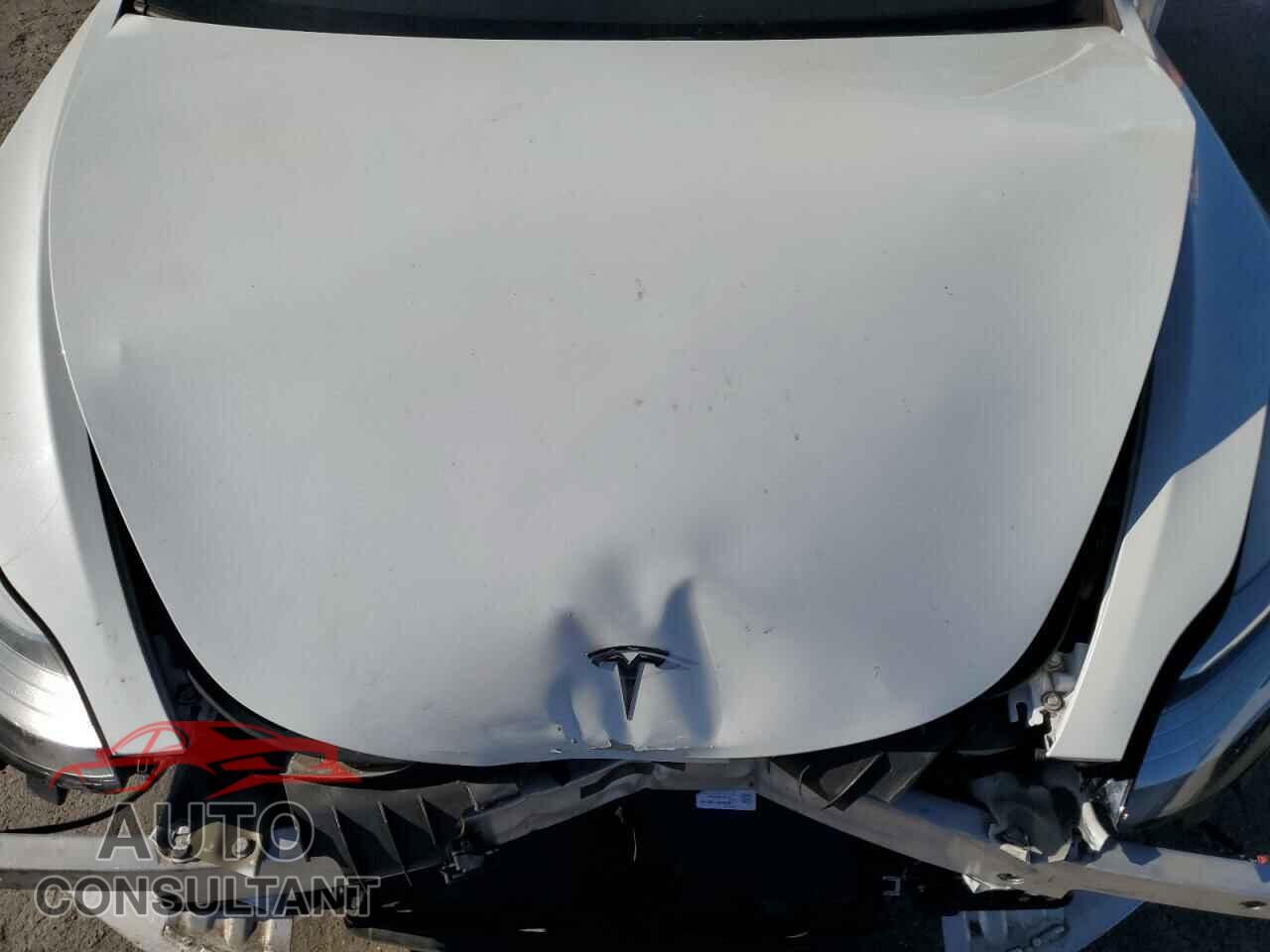 TESLA MODEL 3 2020 - 5YJ3E1EA4LF803986