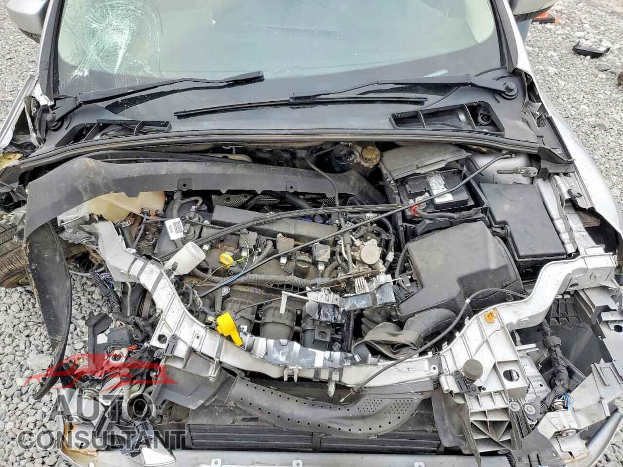 FORD FOCUS 2016 - 1FADP3N21GL331225