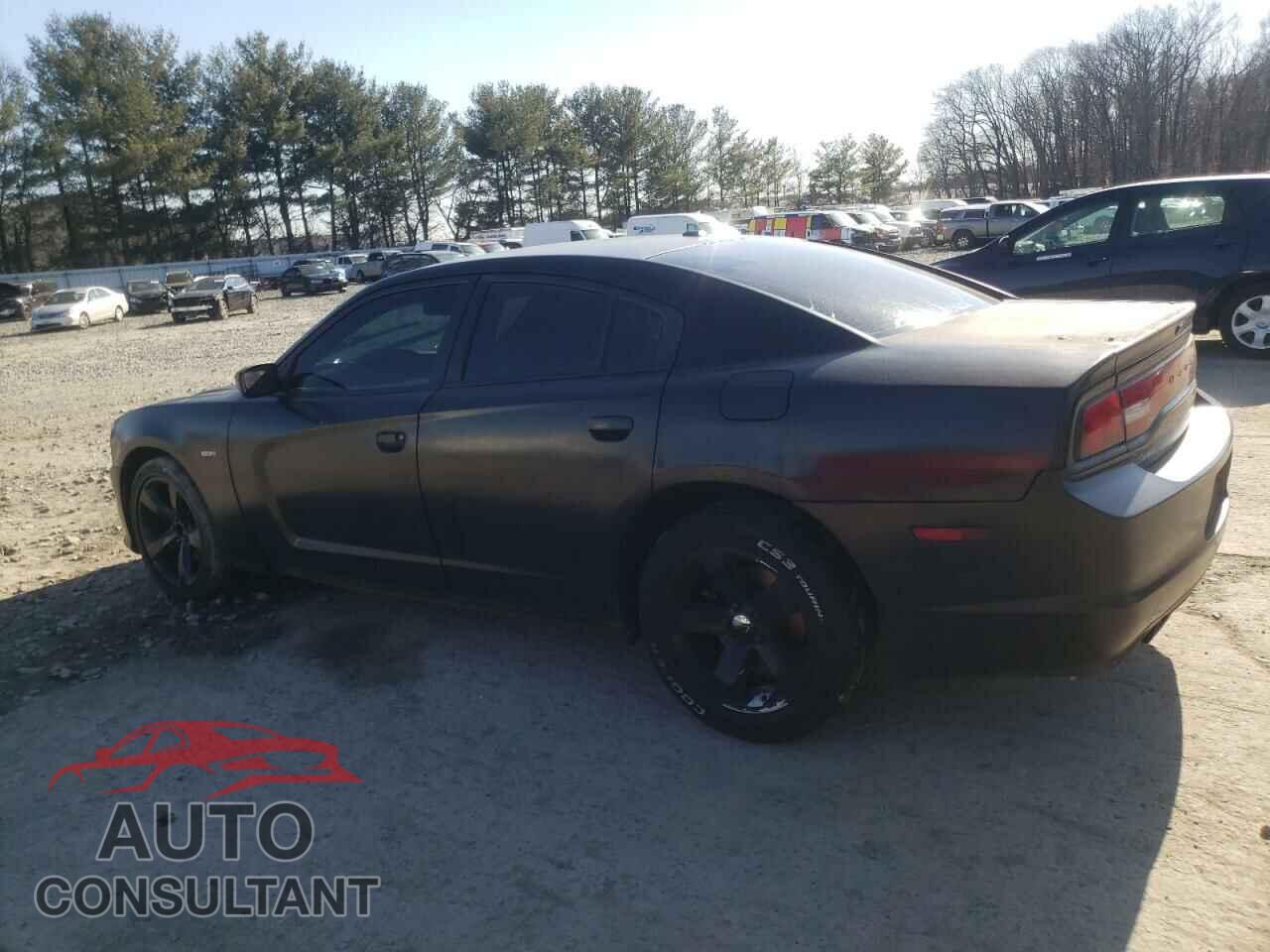 DODGE CHARGER 2014 - 2C3CDXCT4EH338430