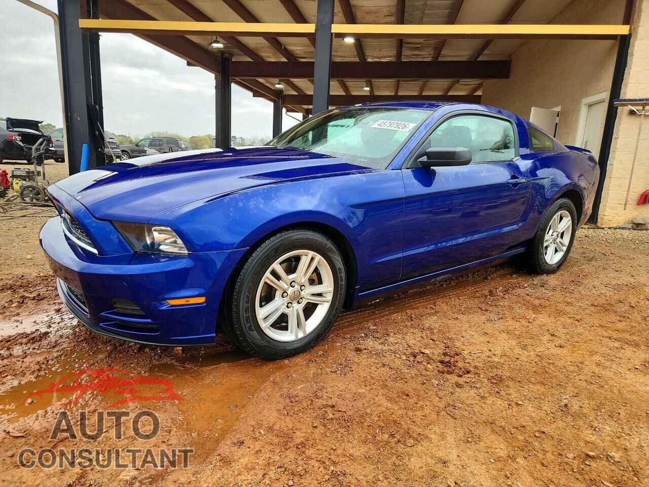 FORD MUSTANG 2013 - 1ZVBP8AM2D5270700