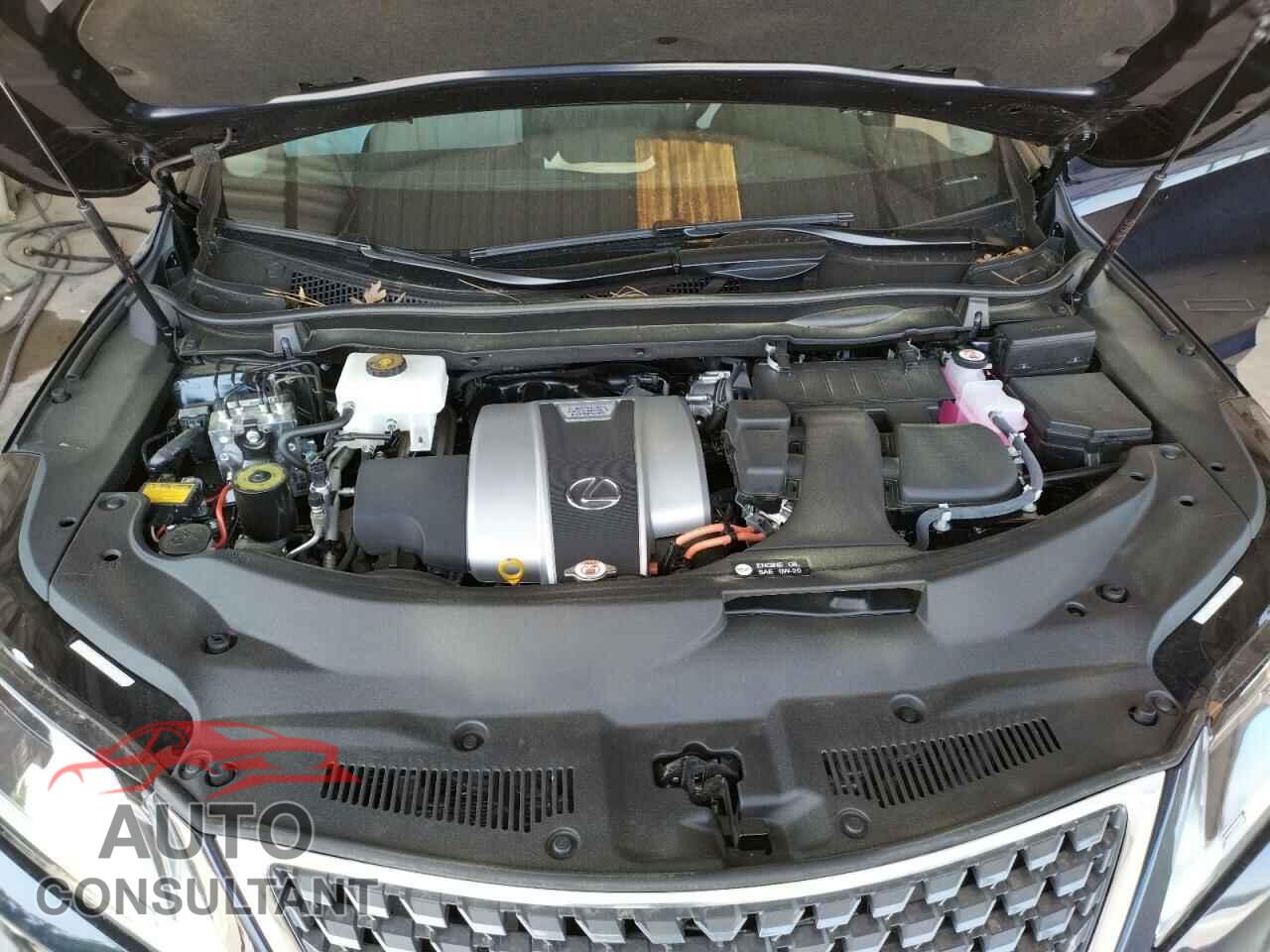 LEXUS RX450 2021 - 2T2HGMDA1MC072034