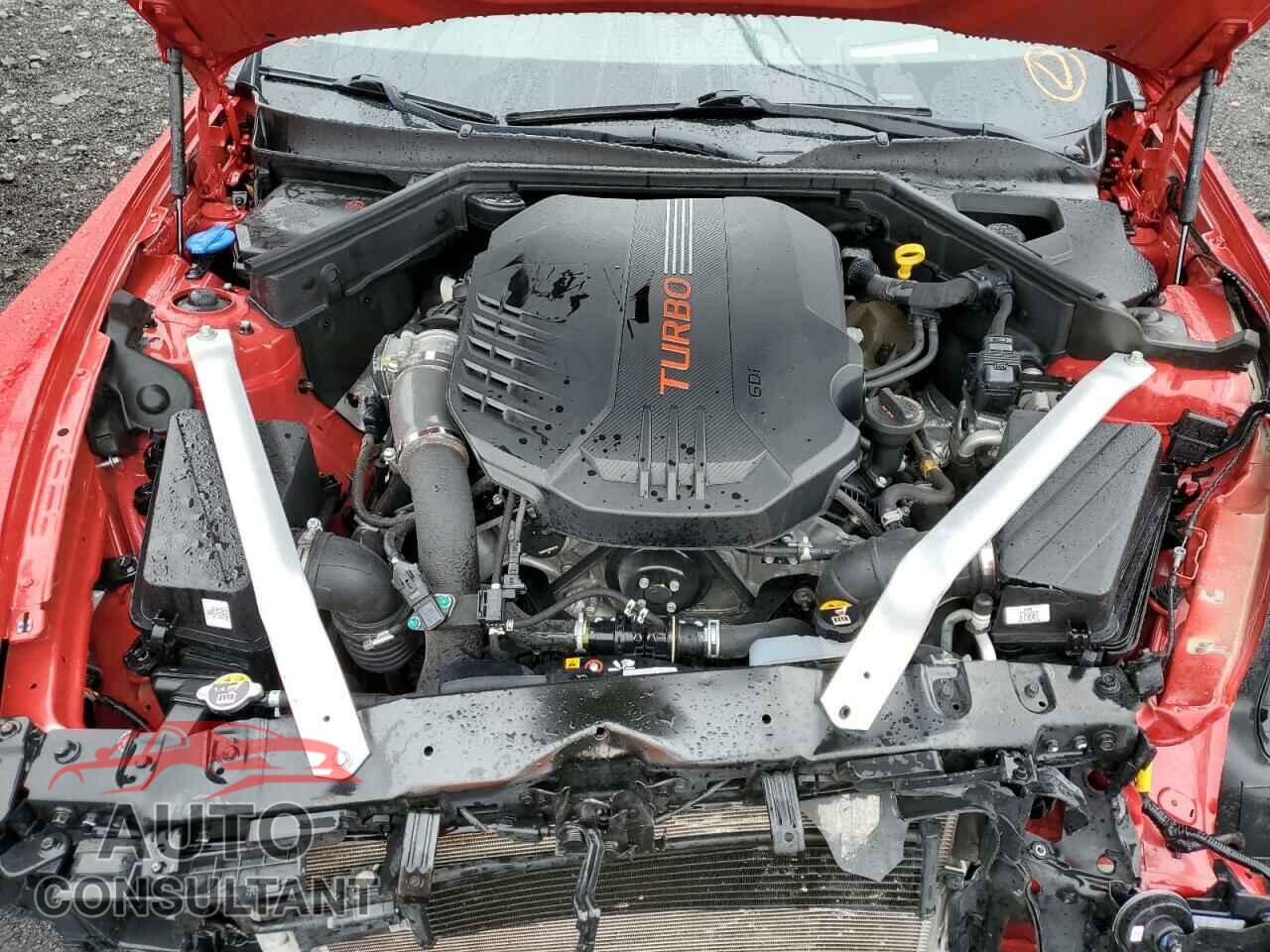 KIA STINGER 2019 - KNAE55LC1K6061591