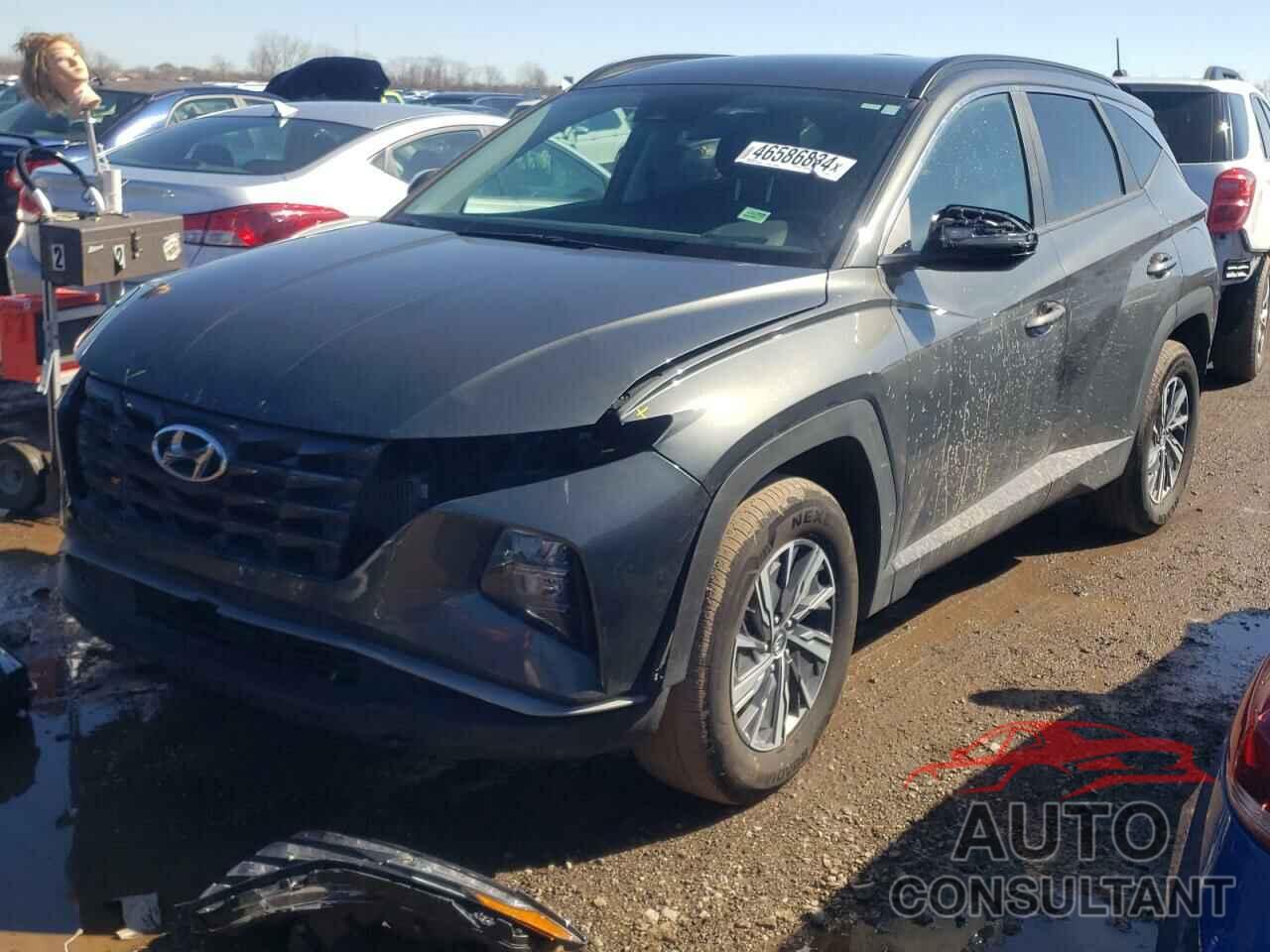 HYUNDAI TUCSON 2022 - KM8JBCA12NU044407