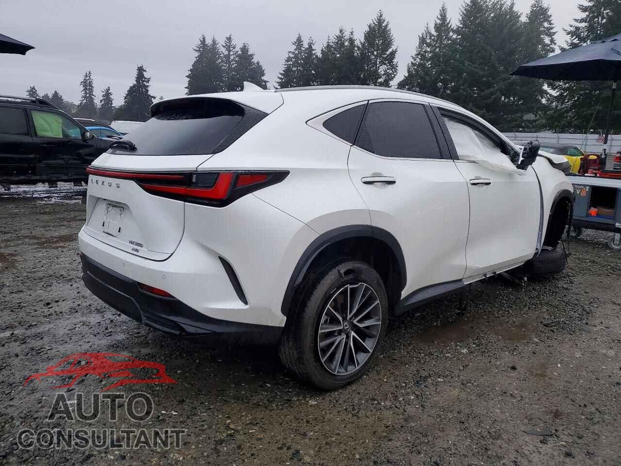 LEXUS UNKNOWN 2024 - JTJGGCEZ2R2016282