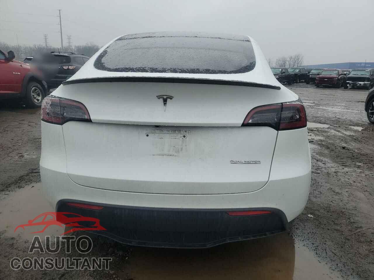 TESLA MODEL Y 2023 - 7SAYGDEF1PF714446