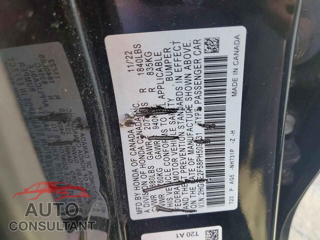HONDA CIVIC 2023 - 2HGFE2F58PH509531