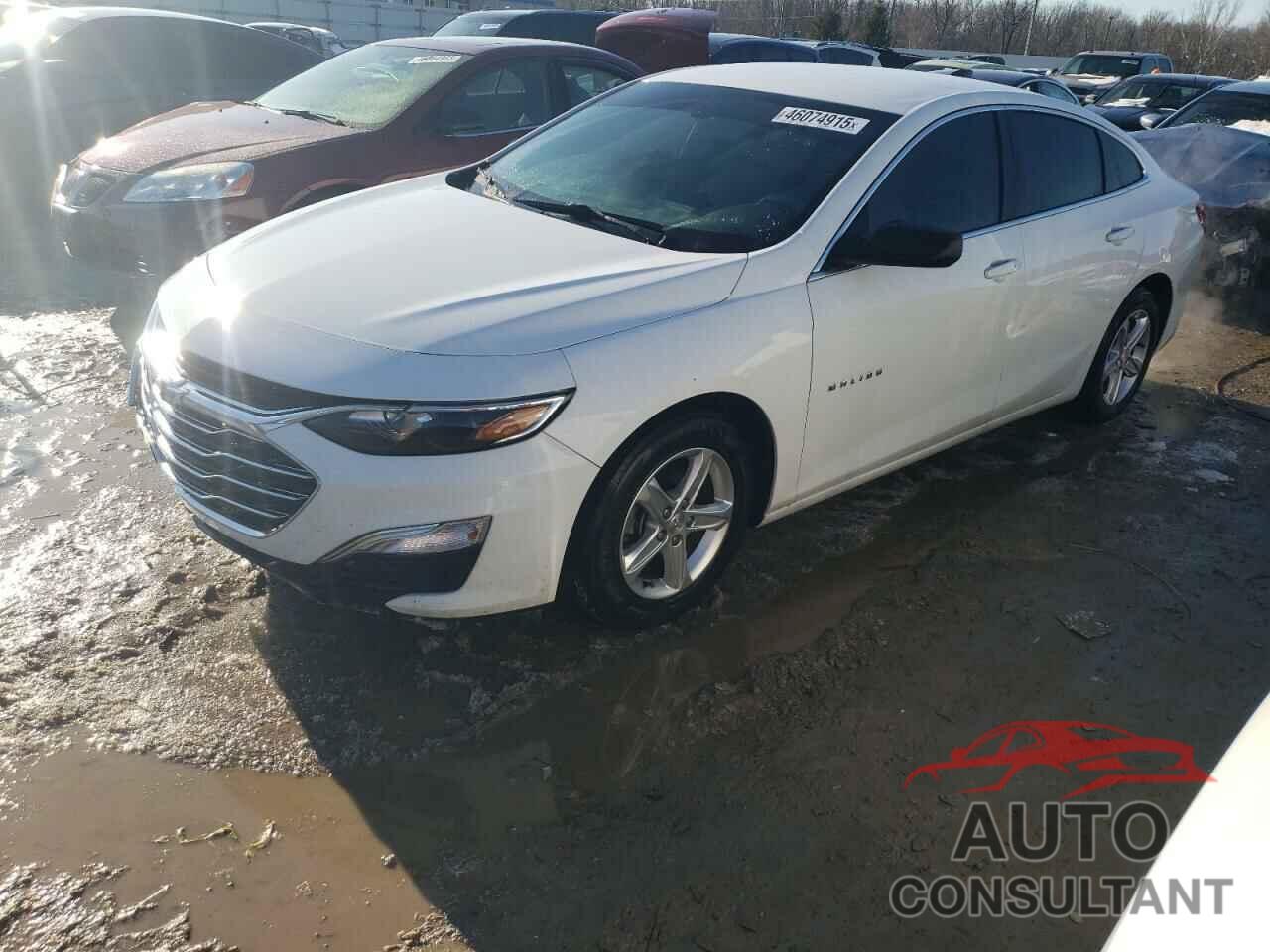 CHEVROLET MALIBU 2019 - 1G1ZB5ST8KF186787