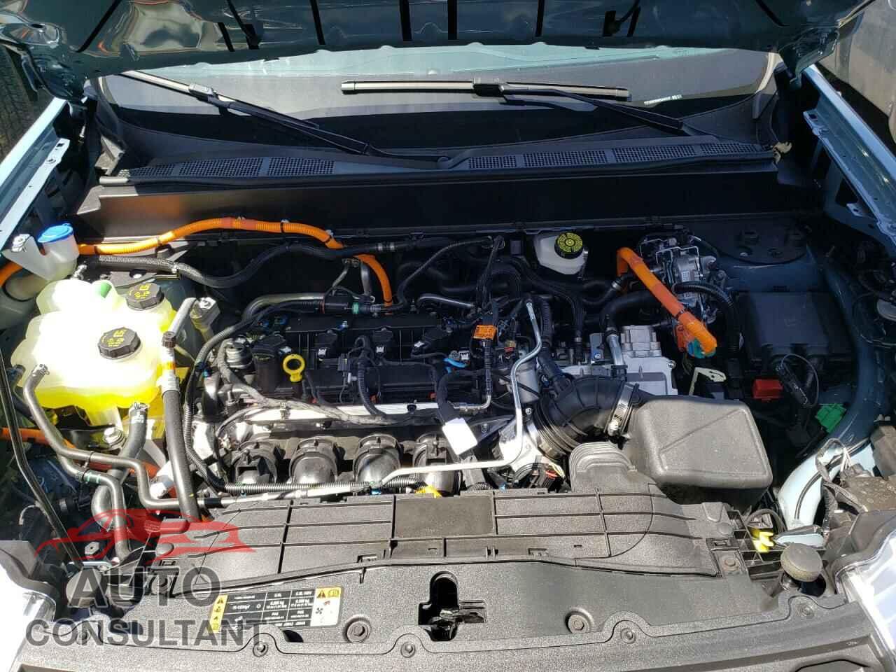 FORD MAVERICK X 2022 - 3FTTW8E35NRA43107