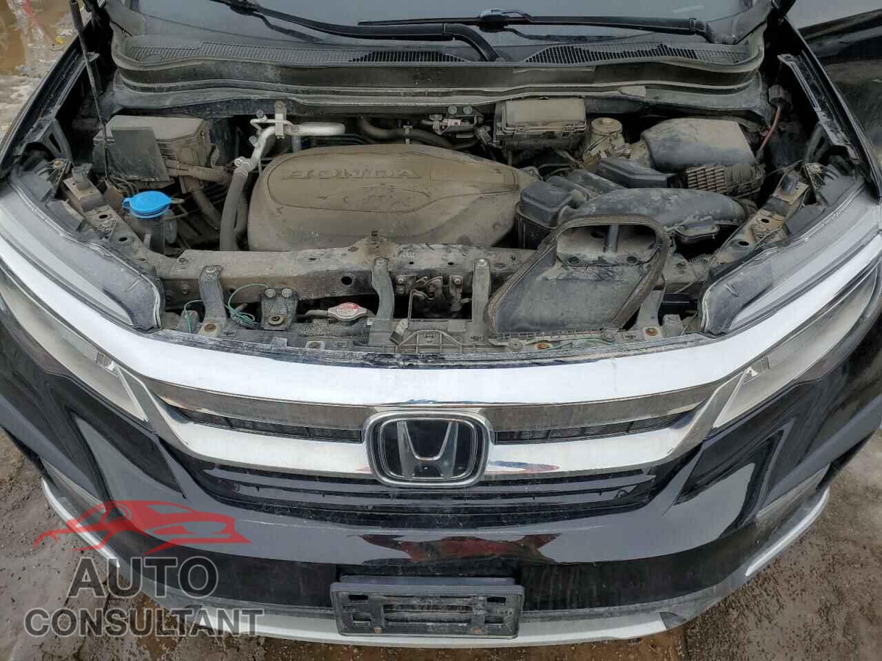 HONDA PILOT 2021 - 5FNYF6H98MB500048