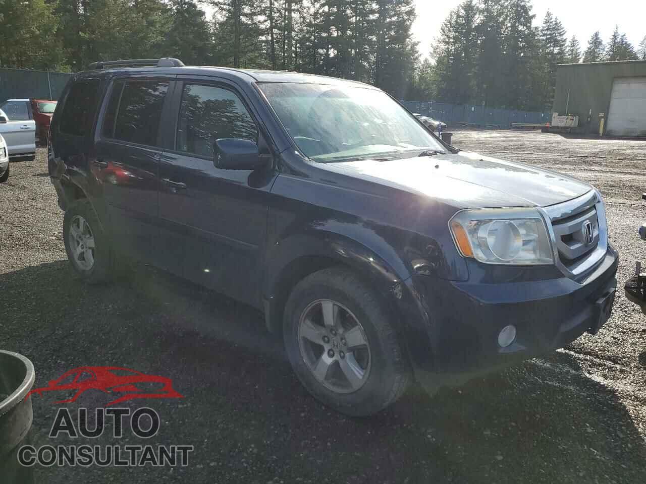 HONDA PILOT 2009 - 5FNYF48409B036270