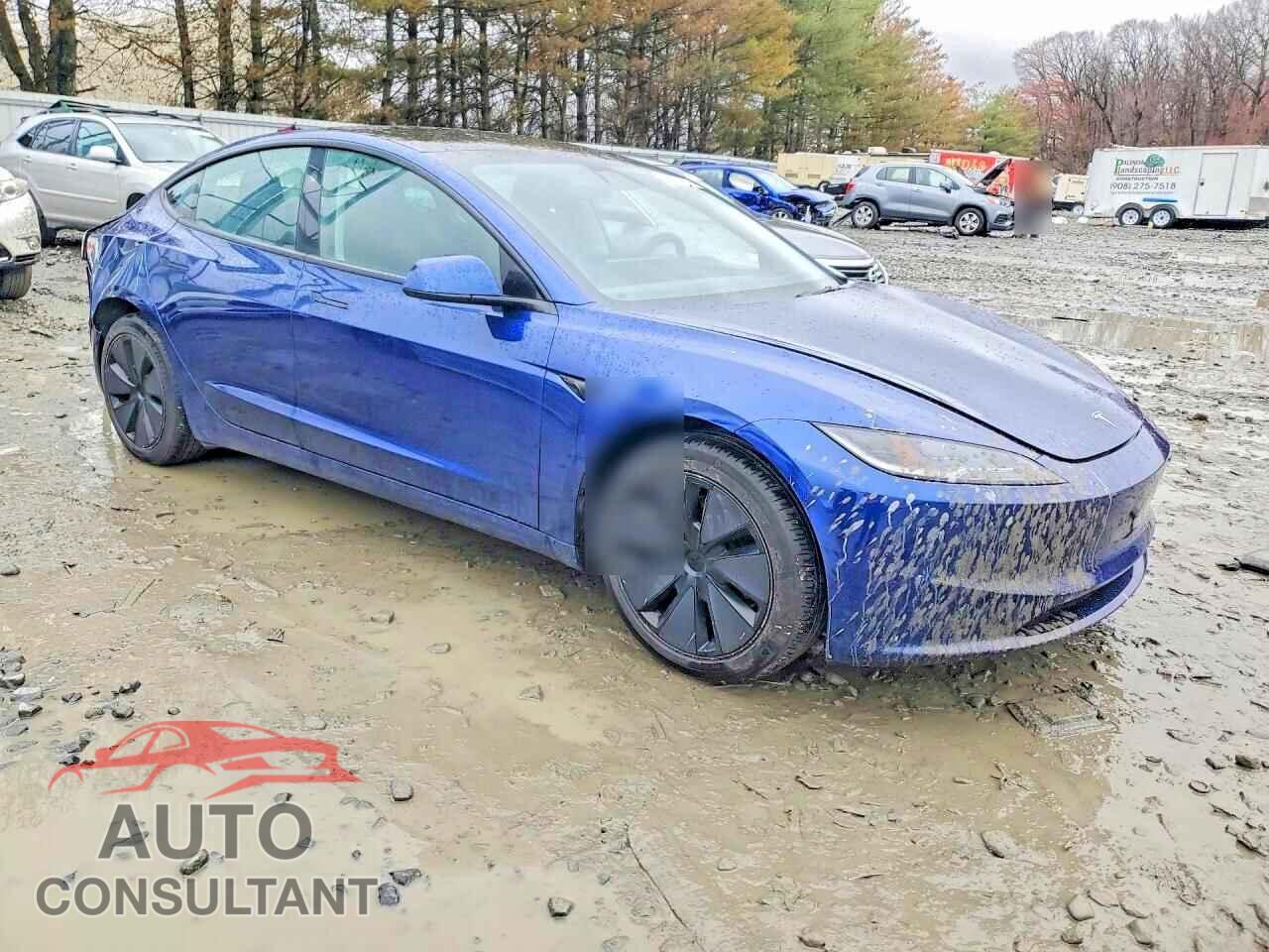 TESLA MODEL 3 2024 - 5YJ3E1EA4RF856342