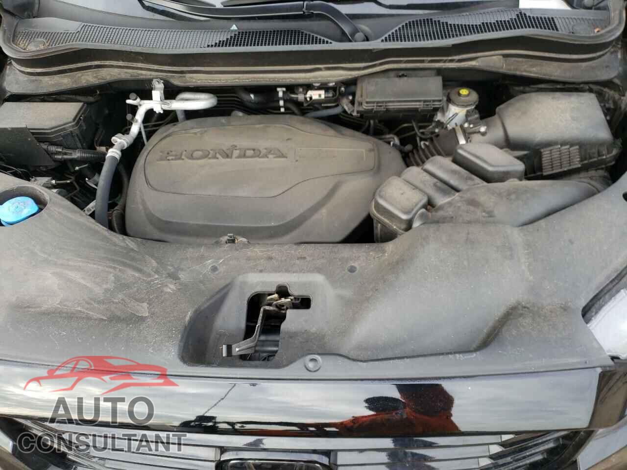 HONDA RIDGELINE 2021 - 5FPYK3F83MB014579