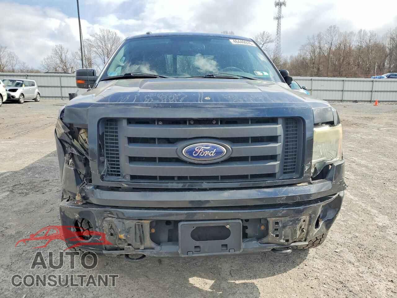 FORD F150 2010 - 1FTFX1EV8AFB97532