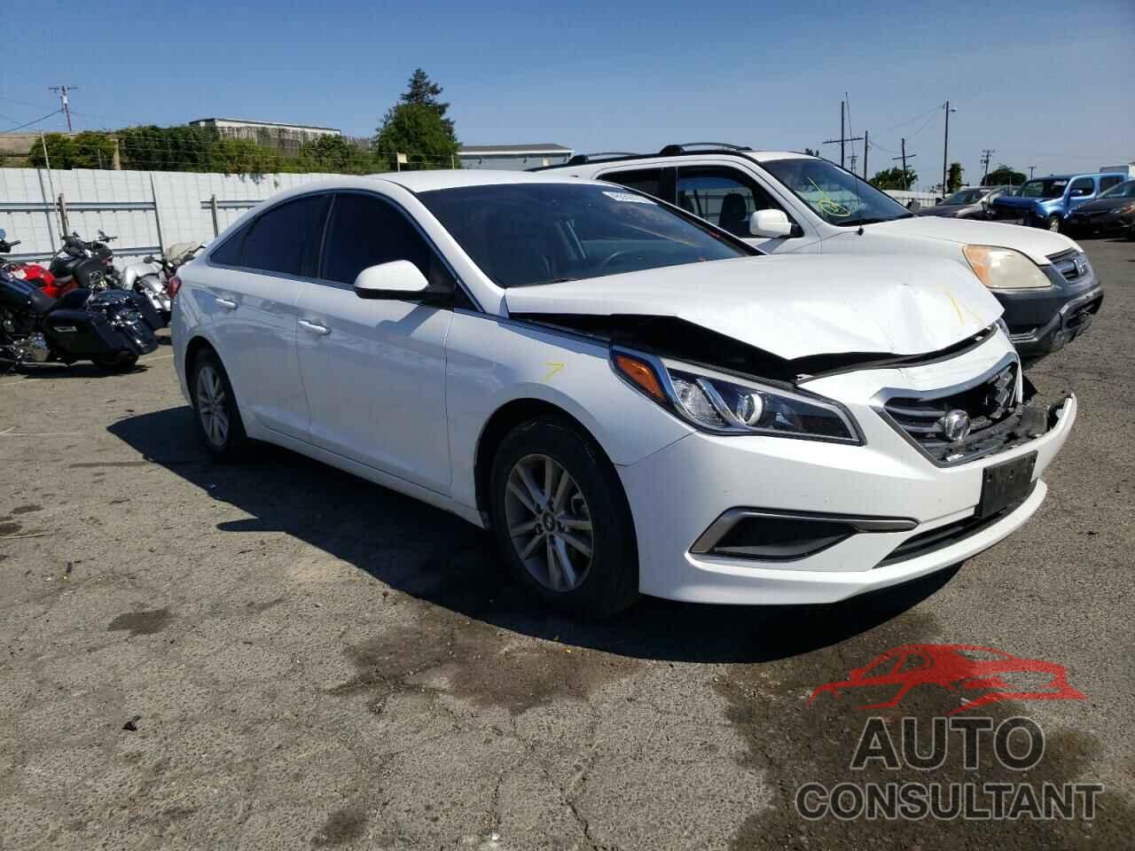 HYUNDAI SONATA 2017 - 5NPE24AF1HH497245