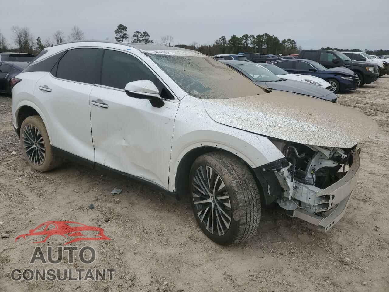 LEXUS RX350 2024 - 2T2BAMBA6RC036163