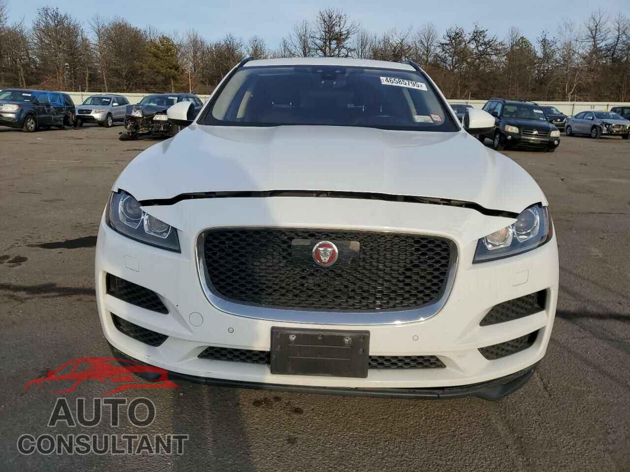 JAGUAR F-PACE 2019 - SADCJ2FX2KA601096