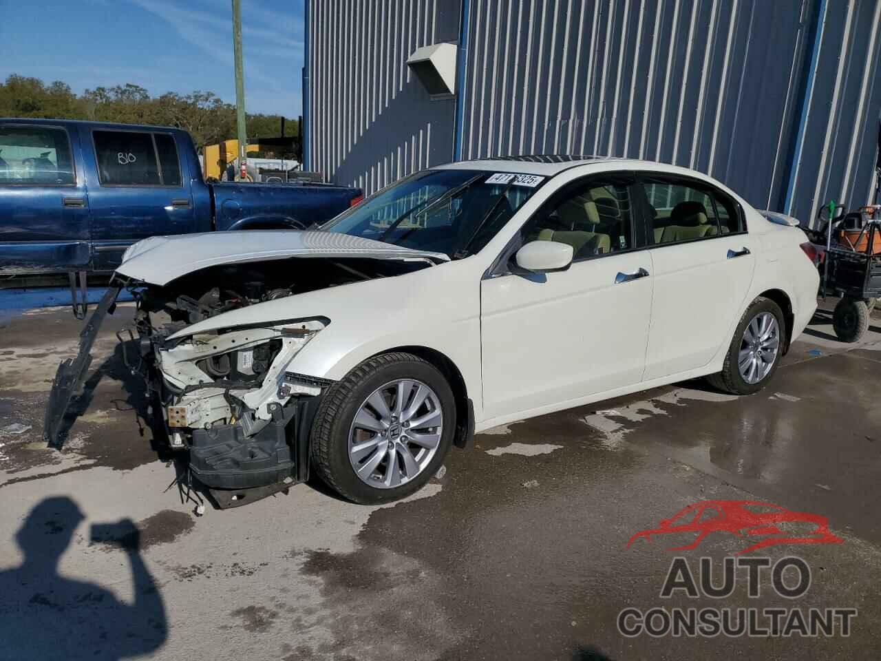 HONDA ACCORD 2011 - 5KBCP3F86BB004146