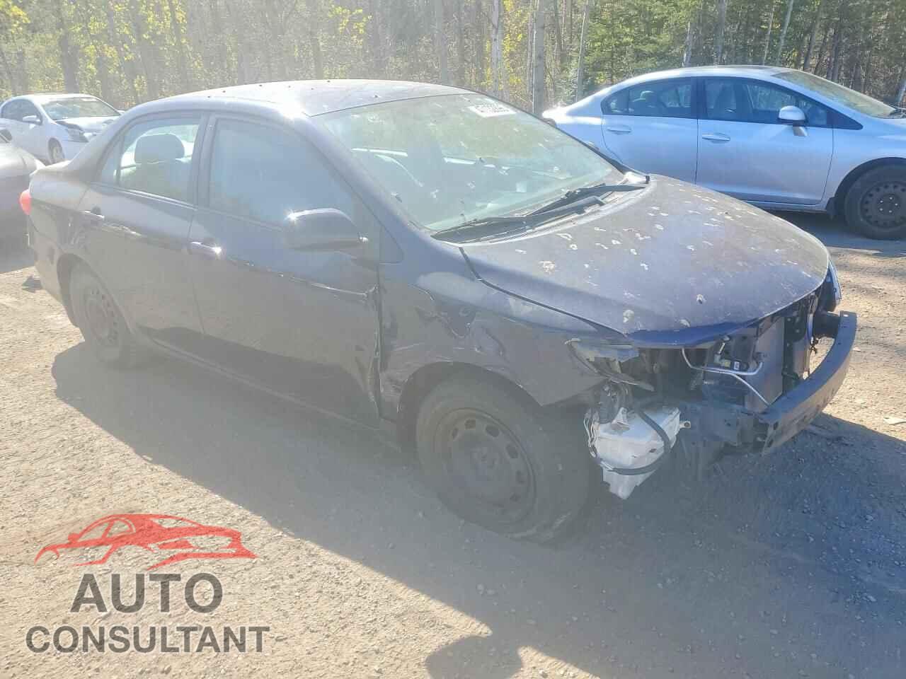 TOYOTA COROLLA 2012 - 2T1BU4EE7CC847505