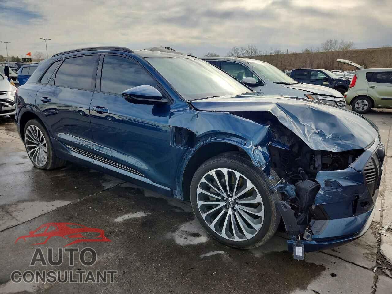 AUDI E-TRON 2019 - WA1VABGE3KB021877