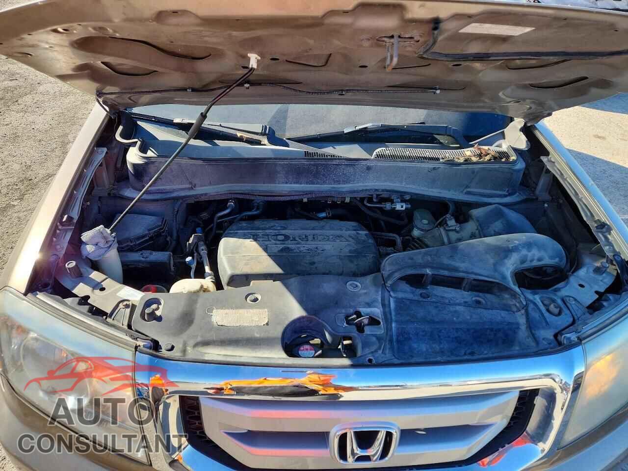 HONDA PILOT 2010 - 5FNYF4H54AB023714